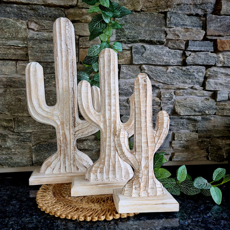 Cactus on stand White Wash (SET of 3)